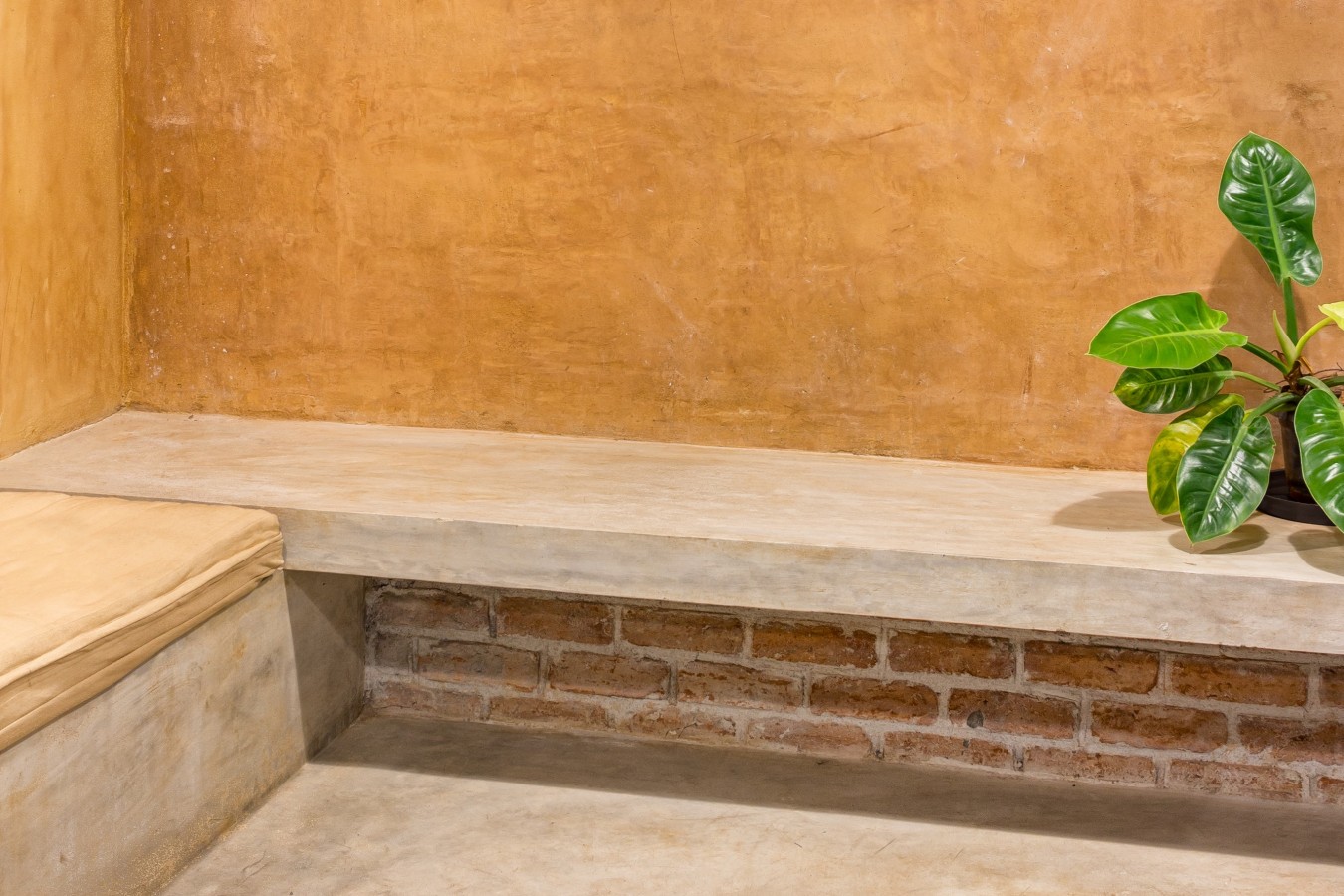 View of the waiting space, with the backdrop of clay plaster, and an Oxide plaster wrapping around the inbuilt seating aView of the waiting space, with the backdrop of clay plaster, and the Oxide flooring wrapping up onto the inbuilt seating.nd the floor.