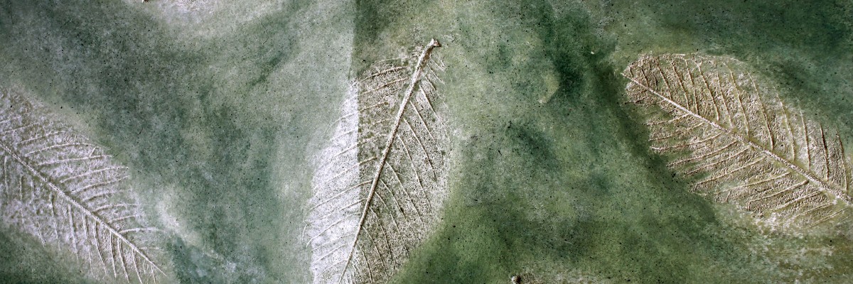 Lime plaster with leaf inprint