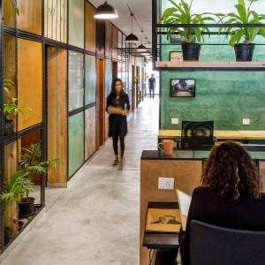 Natural plaster panels along the main corridor of the office