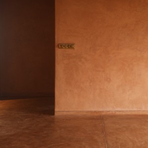 IPS flooring and lime plaster wrap